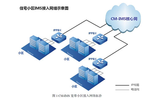 СCM-IMS