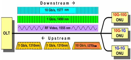 10G-EPON1G-EPONϵͳ벨ʾͼ